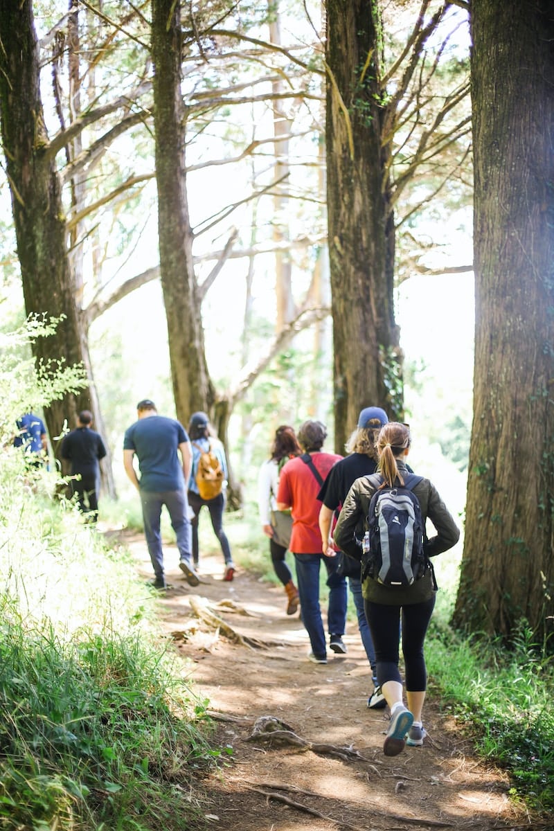 people walking on dirt road between trees during daytime