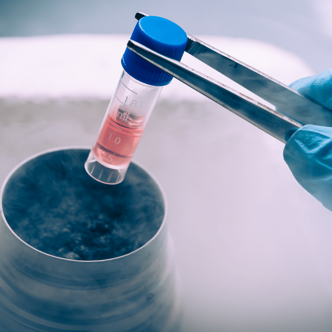 Turning Stem Cells into Clinical Trials